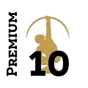 Anuncio Premium 10