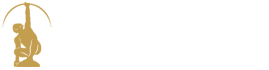 TeVendo-logo-blanco